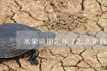水象逾期2年了怎么协商还