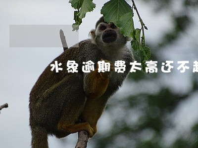 水象逾期费太高还不起 水象逾期费太高还不起
