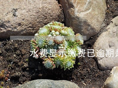 水费显示缴费已逾期是什么意思 水费显示缴费已逾期是什么意思