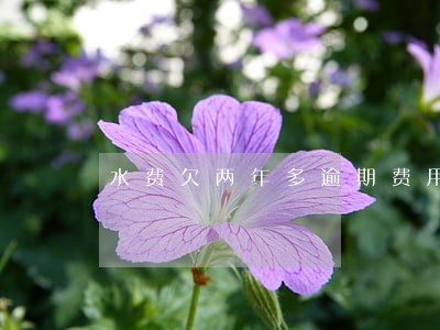 水费欠两年多逾期费用 水费欠两年多逾期费用