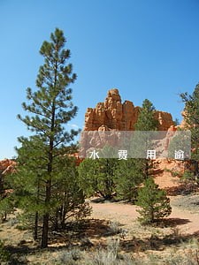 水费用逾期影响征信吗 水费用逾期影响征信吗