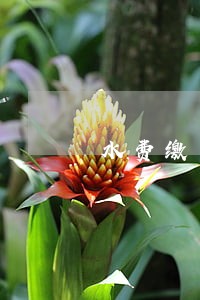 水费缴费记录逾期 水费缴费记录逾期