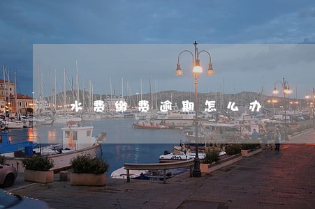 水费缴费逾期怎么办