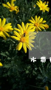水费账单逾期怎么在网上交 水费账单逾期怎么在网上交
