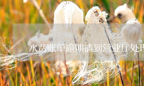 水费账单逾期请到营业厅处理 水费账单逾期请到营业厅处理
