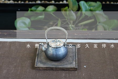 水费逾期不交多久发停水通知 水费逾期不交多久发停水通知