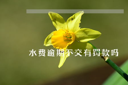 水费逾期不交有罚款吗 水费逾期不交有罚款吗