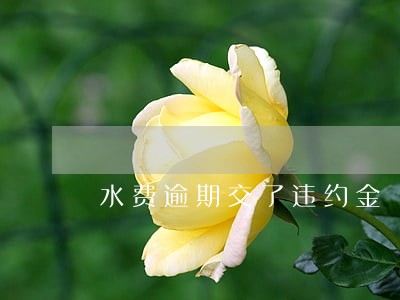 水费逾期交了违约金 水费逾期交了违约金