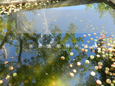 水费逾期停水违法吗 水费逾期停水违法吗