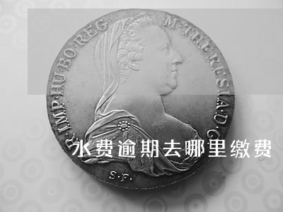 水费逾期去哪里缴费 水费逾期去哪里缴费