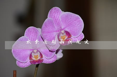 水费逾期如何规定 水费逾期如何规定