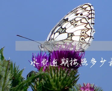 水费逾期按照多少标准收取费用 水费逾期按照多少标准收取费用