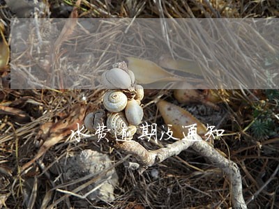 水费逾期没通知 水费逾期没通知