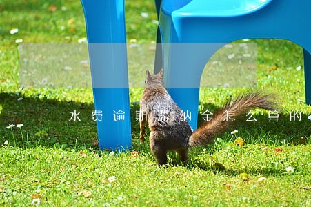 水费逾期滞纳金怎么算的