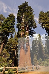 水费逾期缴纳信用 水费逾期缴纳信用