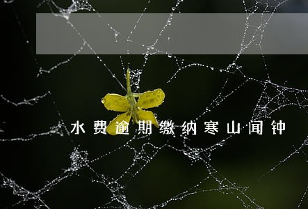 水费逾期缴纳寒山闻钟 水费逾期缴纳寒山闻钟