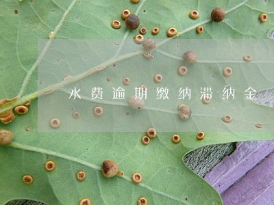 水费逾期缴纳滞纳金 水费逾期缴纳滞纳金