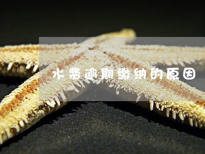 水费逾期缴纳的原因