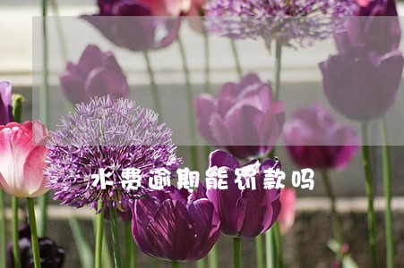 水费逾期能罚款吗 水费逾期能罚款吗