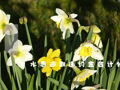 水费逾期违约金会计分录