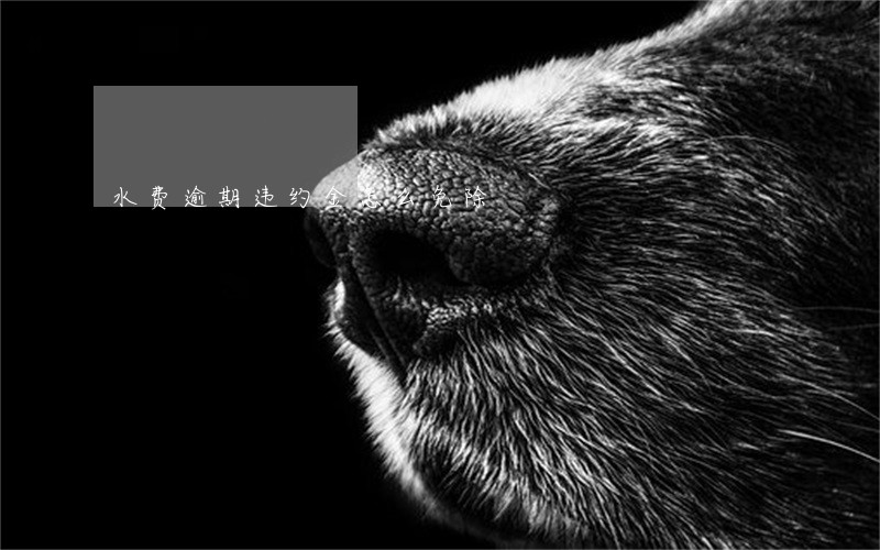 水费逾期违约金怎么免除
