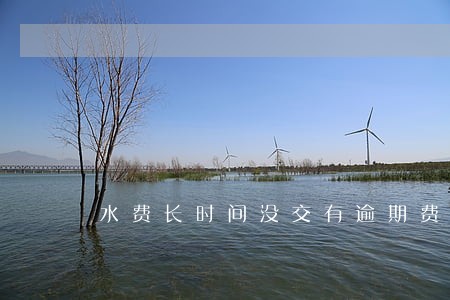 水费长时间没交有逾期费吗 水费长时间没交有逾期费吗