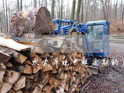 水资源税申报逾期的后果 水资源税申报逾期的后果