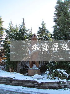水资源税逾期一般罚款多少 水资源税逾期一般罚款多少