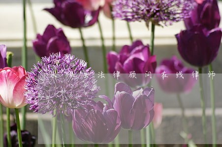 永修县法律顾问在线律师 永修县法律顾问在线律师