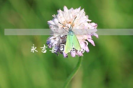永吉县司法局 永吉县司法局