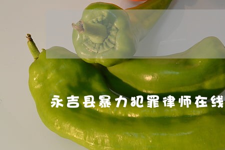 永吉县暴力犯罪律师在线免费咨询 永吉县暴力犯罪律师在线免费咨询