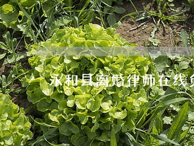 永和县离婚律师在线免费咨询 永和县离婚律师在线免费咨询