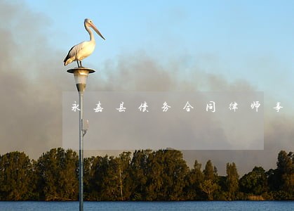 永嘉县债务合同律师事务所 永嘉县债务合同律师事务所