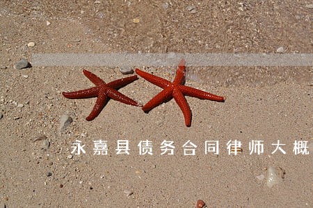 永嘉县债务合同律师大概多少钱 永嘉县债务合同律师大概多少钱