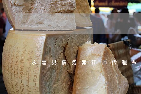 永嘉县债务案律师代理费
