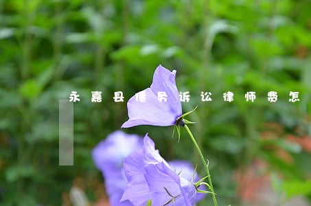 永嘉县债务诉讼律师费怎么算 永嘉县债务诉讼律师费怎么算