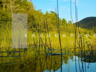 永嘉县债权债务律师费用标准 永嘉县债权债务律师费用标准