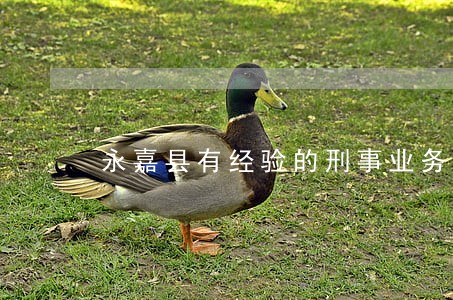 永嘉县有经验的刑事业务律师 永嘉县有经验的刑事业务律师