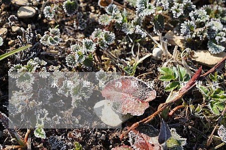永嘉地区办取保候审律师地址 永嘉地区办取保候审律师地址