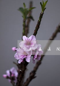 永嘉法院经济庭 永嘉法院经济庭