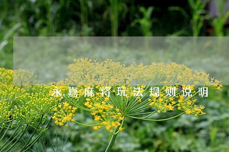 永嘉麻将玩法规则说明 永嘉麻将玩法规则说明