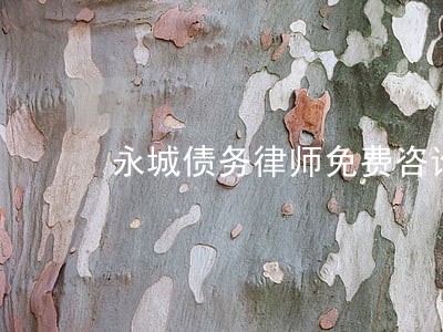 永城债务律师免费咨询 永城债务律师免费咨询