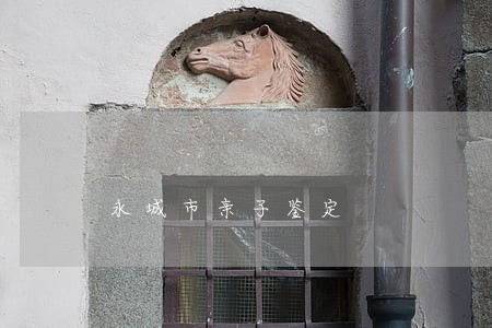 永城市亲子鉴定 永城市亲子鉴定
