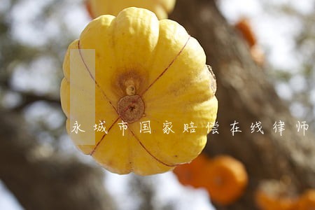 永城市国家赔偿在线律师 永城市国家赔偿在线律师