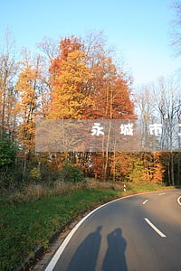 永城市工伤赔偿在线律师 永城市工伤赔偿在线律师