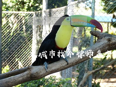 永城市找个律师多少钱 永城市找个律师多少钱