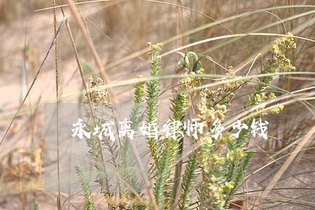 永城离婚律师多少钱 永城离婚律师多少钱