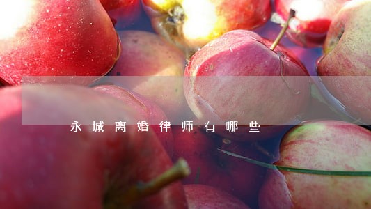 永城离婚律师有哪些 永城离婚律师有哪些