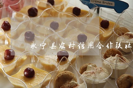 永宁县农村信用合作联社借款逾期 永宁县农村信用合作联社借款逾期