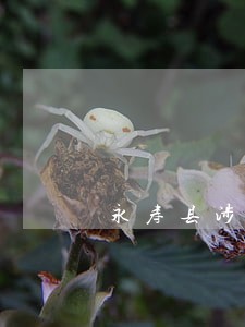 永寿县涉外法律在线律师 永寿县涉外法律在线律师